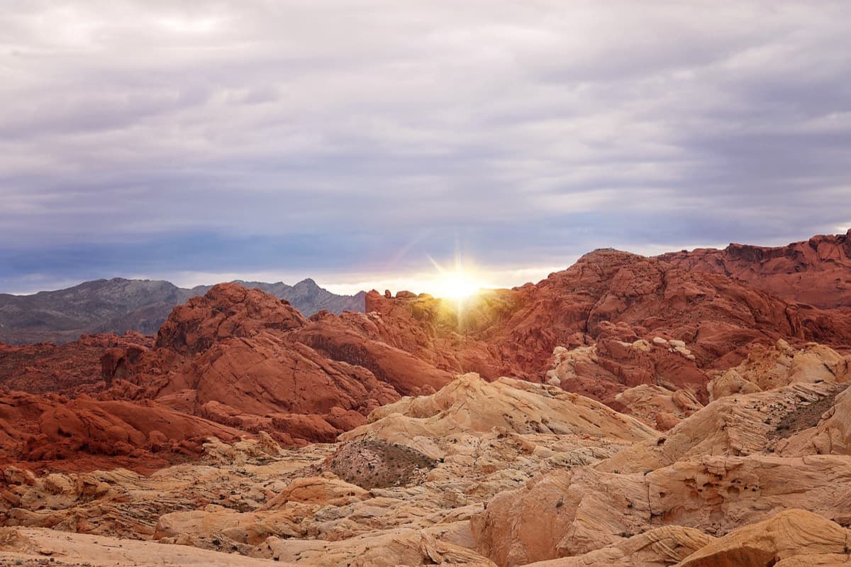Business Class Flights to Las Vegas