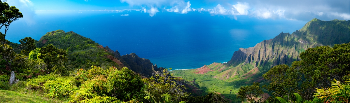 Business Class Flights to Kauai Island