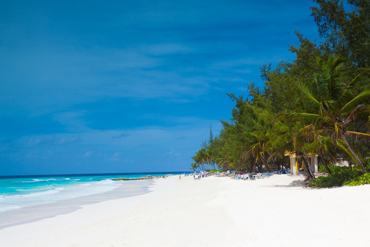 Business Class flights to Barbados