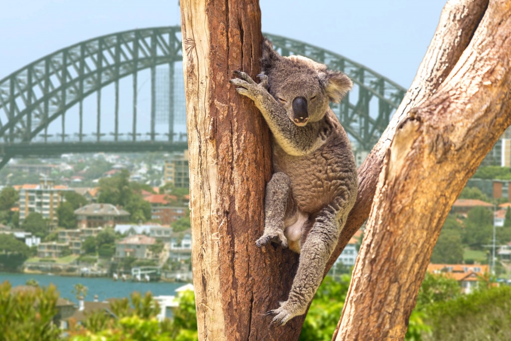 Australia Bucket List 2