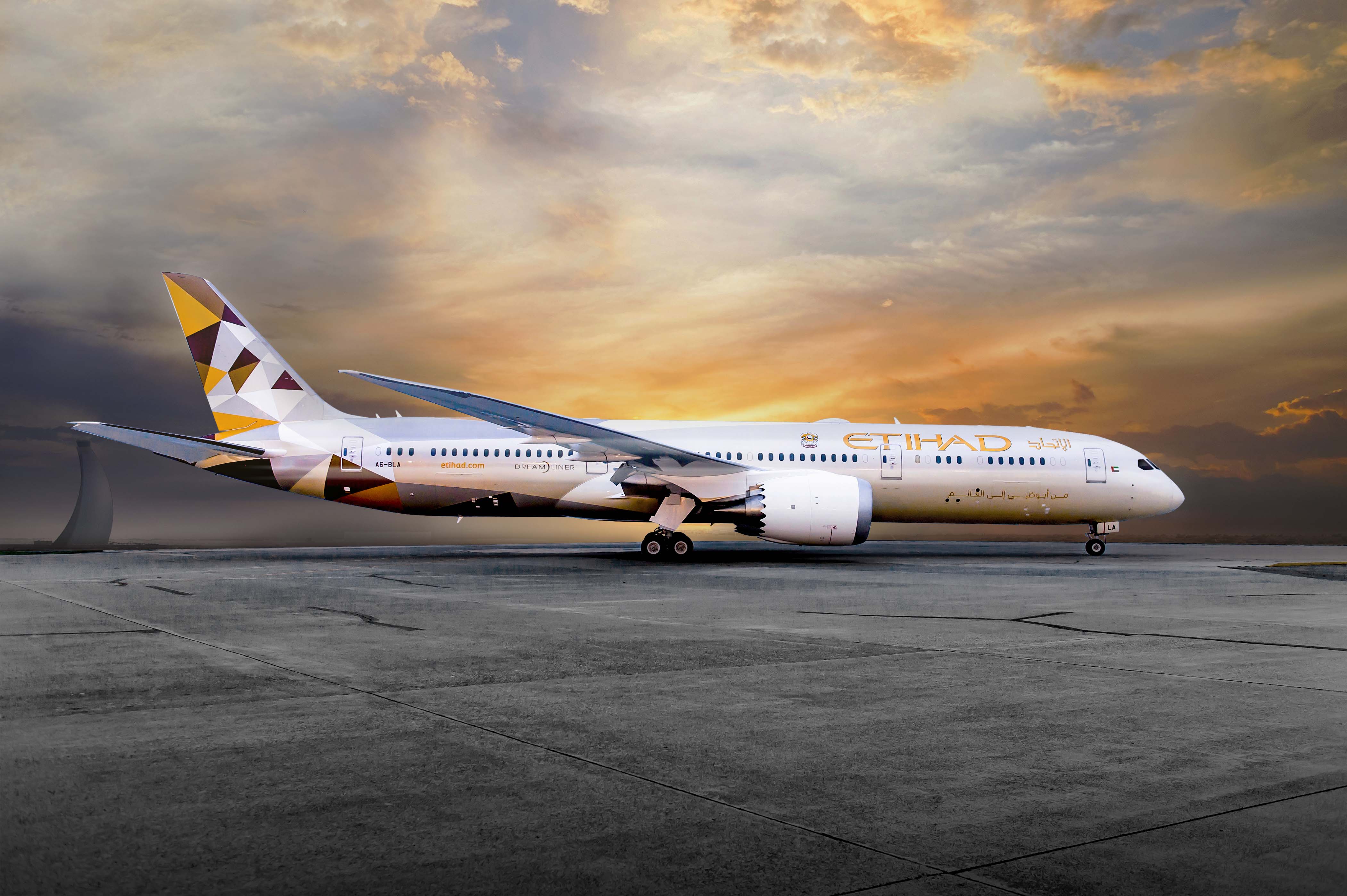 Etihad Dreamliner