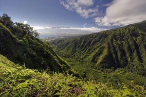 Business Class Flights To Kahului,