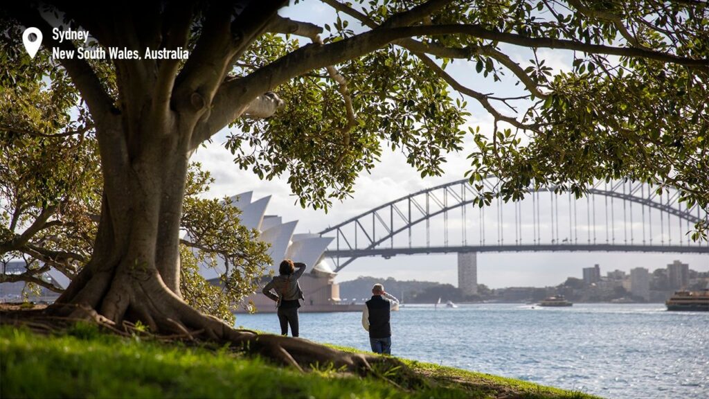 The Royal Botanic Garden Sydney
